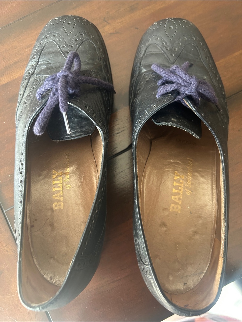 Bally Black/Dark Blue Leather Brogues with Purple Wool Ties